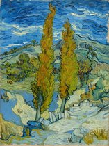 Vincent van Gogh, Twee populieren in de Alpilles bij Saint-Rémy, 1889 op canvas, afmetingen van dit schilderij zijn 45 X 100 CM