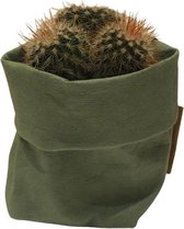 de Zaktus - cactus - Aloe Humilus - UASHMAMA® paperbag olijf- Maat L