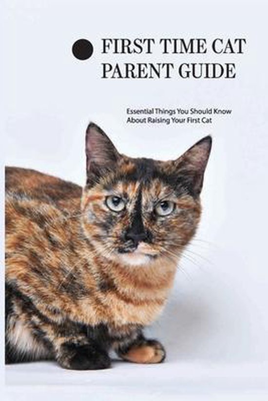 First Time Cat Parent Guide Essential Things You Should Know About