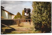 Tuinposter – Springende Hond - 120x80cm Foto op Tuinposter  (wanddecoratie voor buiten en binnen)