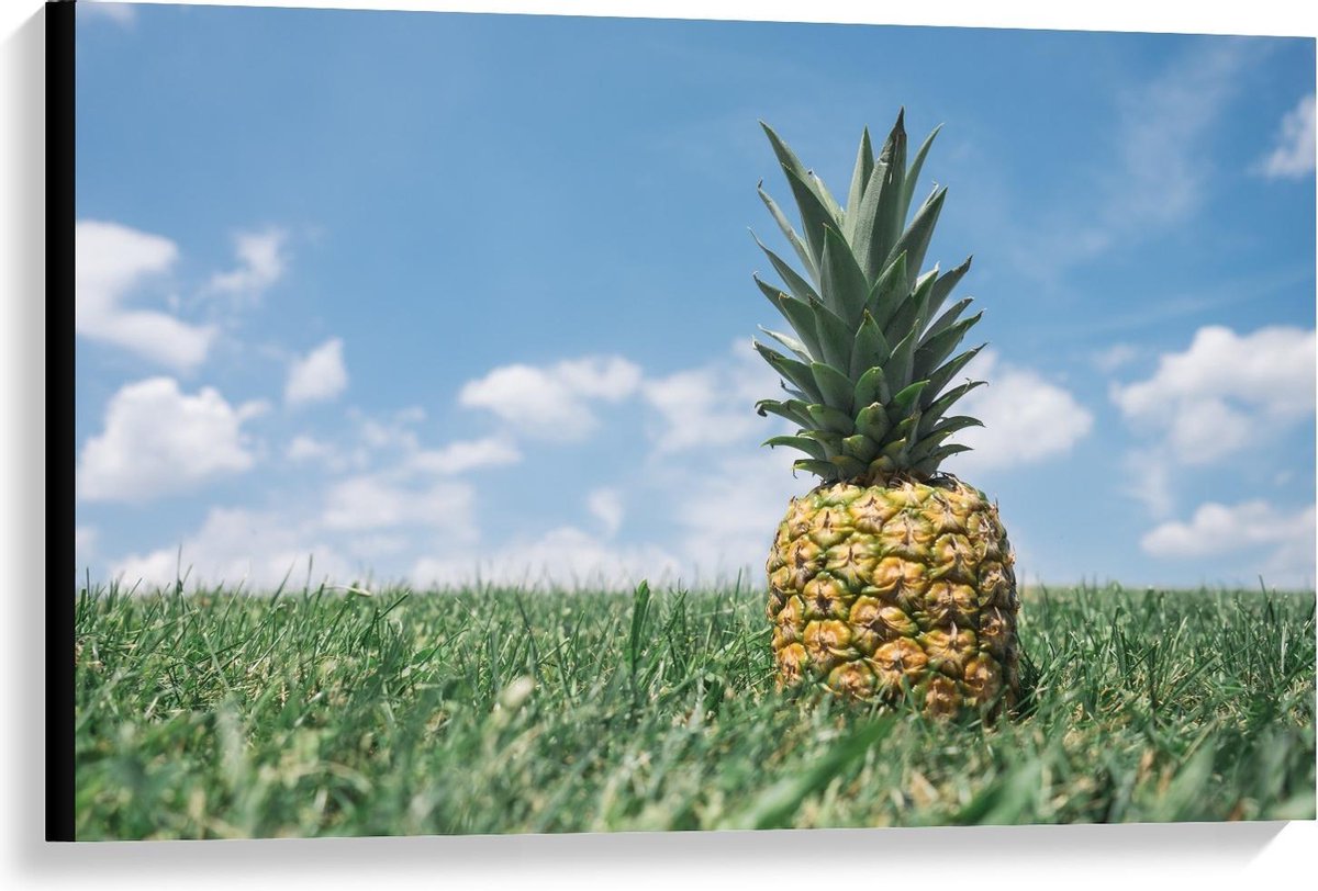 Canvas - Ananas in Groen Gras/Weiland met Blauwe Lucht - 90x60cm Foto op Canvas Schilderij (Wanddecoratie op Canvas)