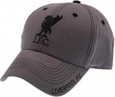 Liverpool Cap 3D logo - Volwassenen - Grijs/zwart