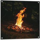 Tuinposter – Brandend Vuurtje in het Bos  - 80x80cm Foto op Tuinposter  (wanddecoratie voor buiten en binnen)