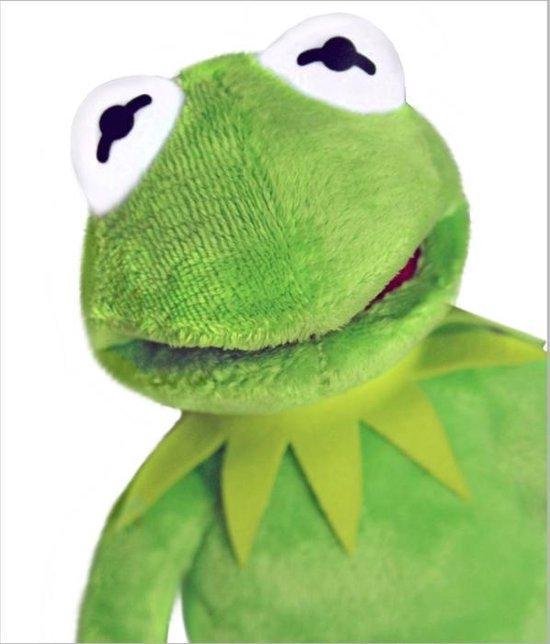 plank uitbreiden Soepel Kermit de kikker knuffel - The muppet show - 38 cm | bol.com