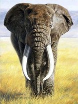 Premium Paintings - Diamond Painting Volwassenen - Diamond Painting Kinderen - Olifant - 30x40cm