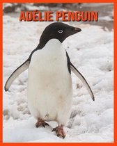 Adelie Penguin