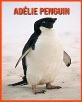 Adelie Penguin
