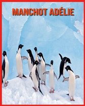 Manchot Adelie