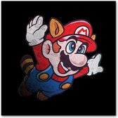 Super Mario Canvas - Gameroom - 40x40cm - 2cm frame - Mario Bros Art