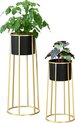 Twee plantenstandaards met zwarte potten en gouden frames, één met grote groene plant, de ander met kleine plant.