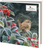 Winterkaartenmapje met env, vierkant: Winterbirds, Elwin van der Kolk, Vogelbescherming