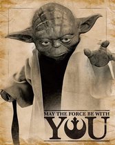 STAR WARS - Mini Poster 40X50 - May the force be with you