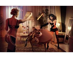 Maids l- Kristal Helder Galerie kwaliteit Plexiglas 5mm.- Blind Aluminium Ophang-frame- Fotokunst- luxe wanddecoratie- Akoestisch en UV Werend- inclusief verzending