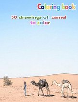 Coloring book 50 drawings of camel to color