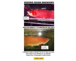 Sexing Asian Arowana