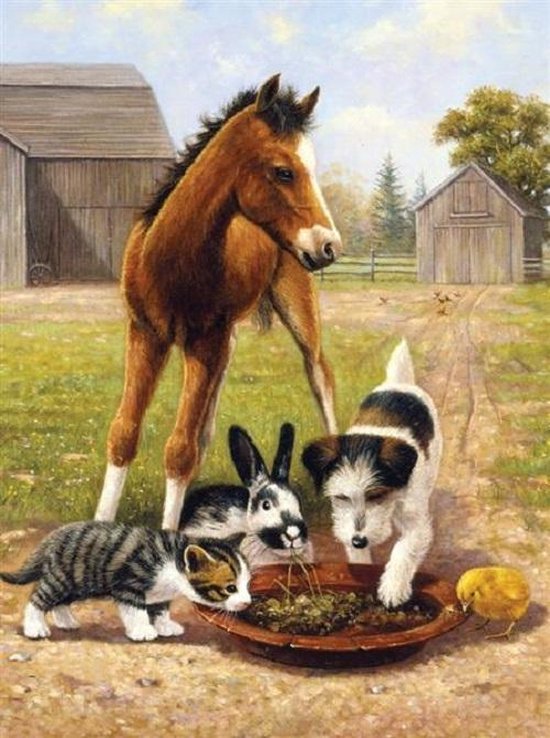 Gedachte lever knal Schilderen op nummer - Paint by numbers - Dieren - Paard hond konijn en  poesje op de... | bol.com