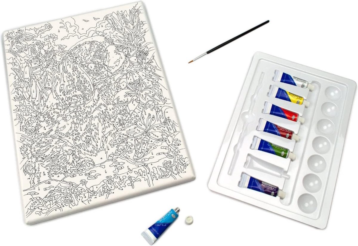 Schilderen op nummer - canvasdoek op houten frame - Paint by numbers