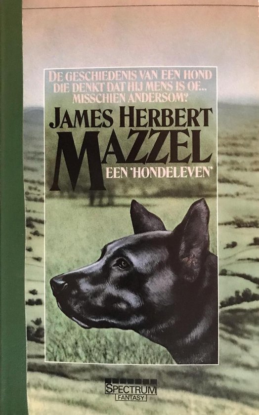 Mazzel