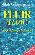 Psicología - Fluir (Flow)