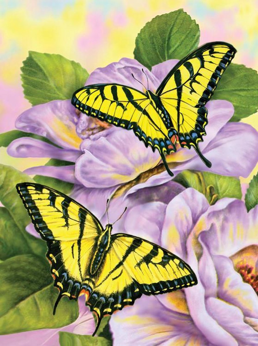Schilderen op nummer - Paint by numbers - Vlinders op bloemen 22x30cm - Schilderen op nummer volwassenen - Paint by numbers volwassenen