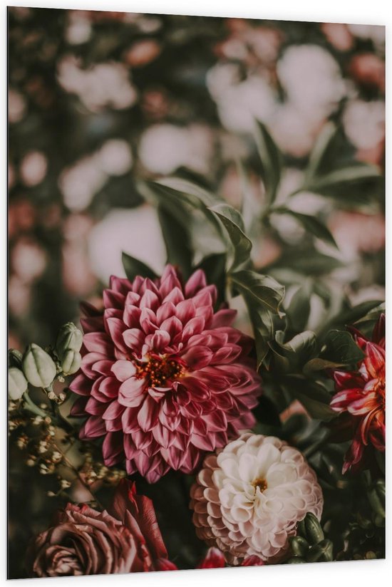 Dibond - Roze/Rode/witte Bloemenbos - Foto op Aluminium (Wanddecoratie van metaal)