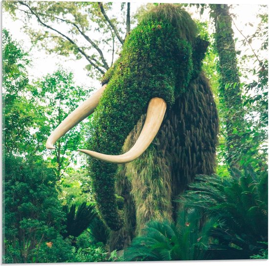 Acrylglas - Mammoet in de Groene Jungle   - 50x50cm Foto op Acrylglas (Wanddecoratie op Acrylglas)