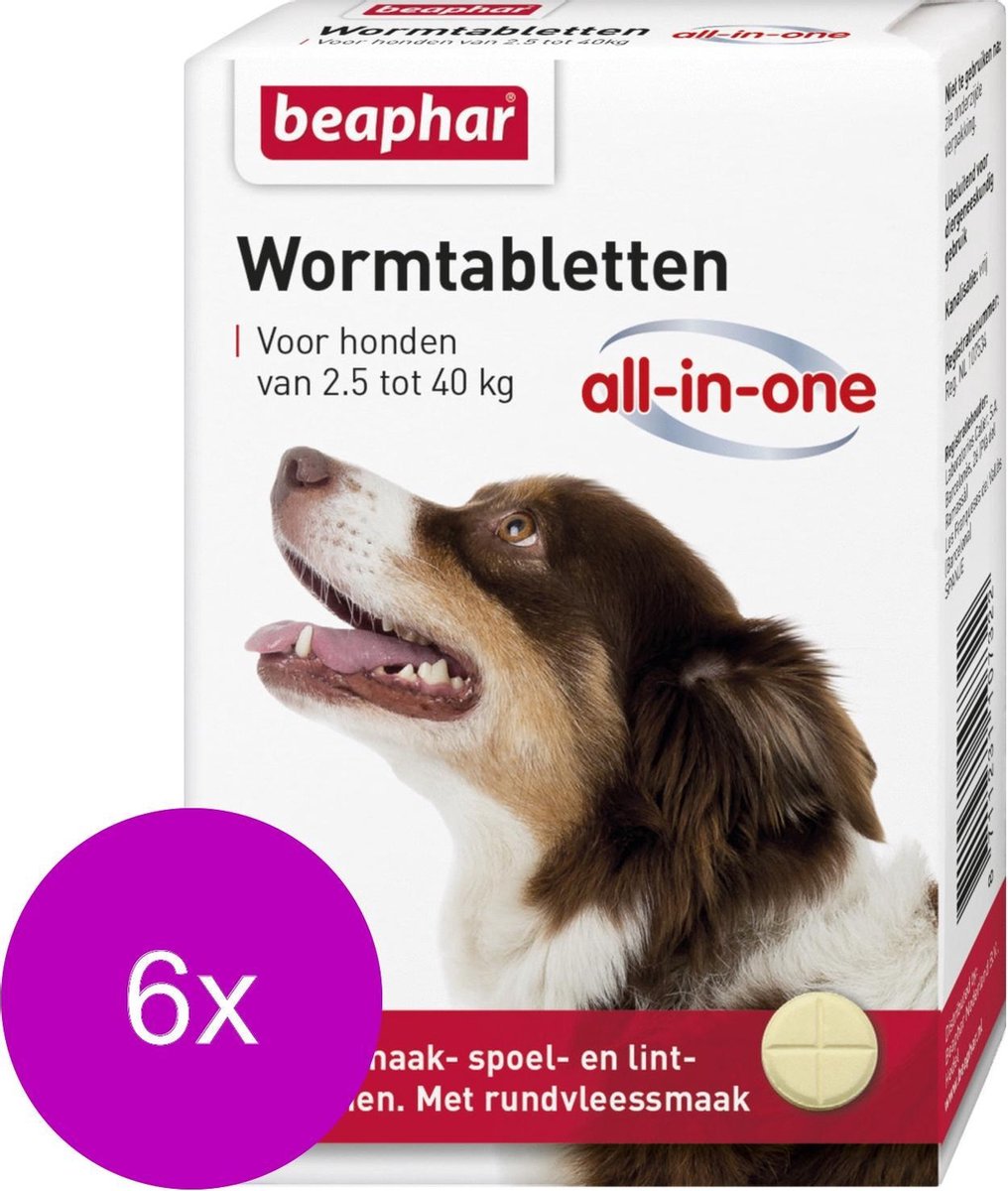 Beaphar Wormtablet All In One Hond - Anti wormenmiddel - 6 x 4 tab 2.5 Tot 40 Kg