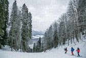 Wintersport op Puzzel - Skiën - Bomen - Legpuzzel 252 Stukjes