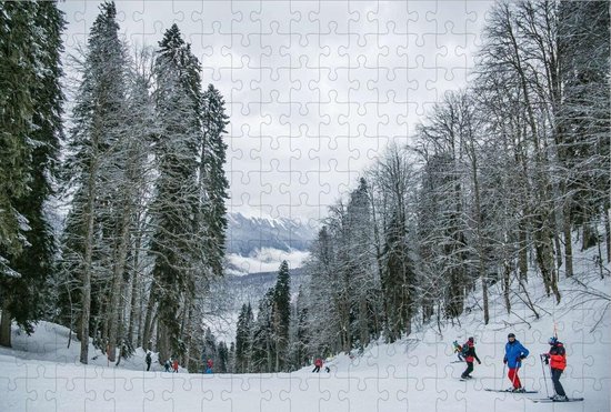 Wintersport op Puzzel - Skiën - Bomen - Legpuzzel 252 Stukjes | bol.com