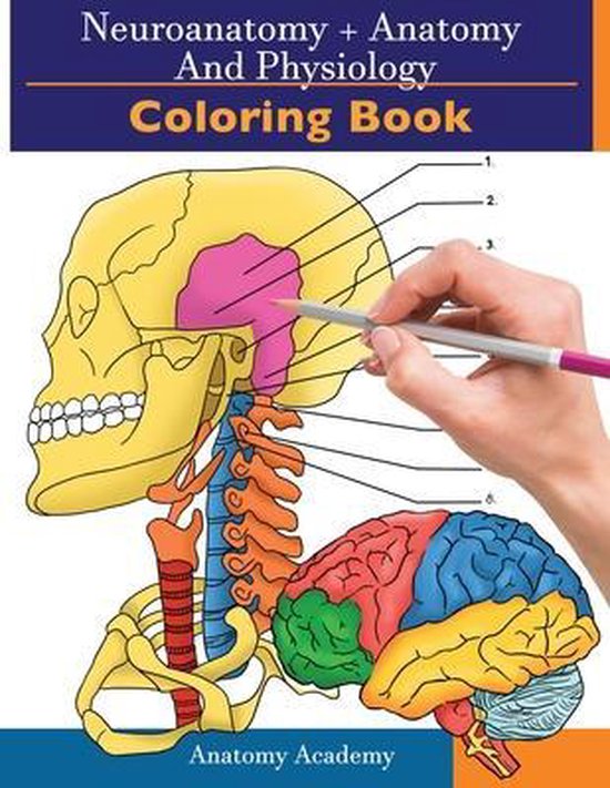 Neuroanatomy + Anatomy and Physiology Coloring Book - cover