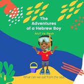 The Adventures of a Hebrew Boy