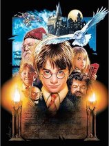 Premium Paintings - Diamond Painting - Volwassenen - Kinderen - Gerecycled plastic - Harry Potter - Fantasy - Filmposter - 30x40cm