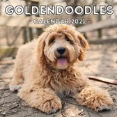 Goldendoodles