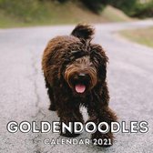 Goldendoodles