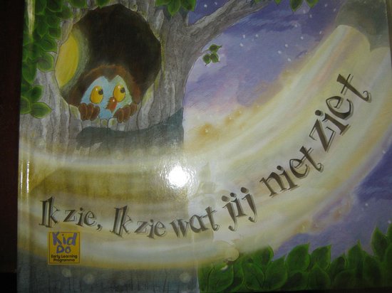 Ik zie, ik zie, wat jij niet ziet | 9789075428742 | Boeken | bol