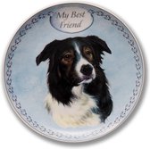 Wandbord My Best Friend, Border Collie, hondenkop, kado,, bord op standaard