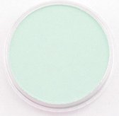 panpastel soft pastel permanent green tint