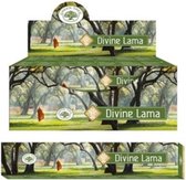 2 pakjes - Wierook - Green Tree - Green Tree Wierook - Masala - Divine Lama - Divine - Lama - 15 gram per doosje