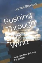Pushing Through The Wind