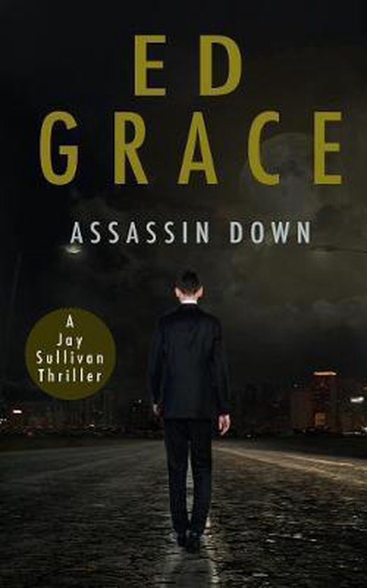 Jay Sullivan Thrillers- Assassin Down - cover