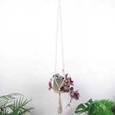Plantenhanger Cordy Collins - Naturel - 120 cm - Hoogwaardige Plantenhanger Binnen - Zonder Bloempot - Macrame - Duurzaam -100% Handgemaakt