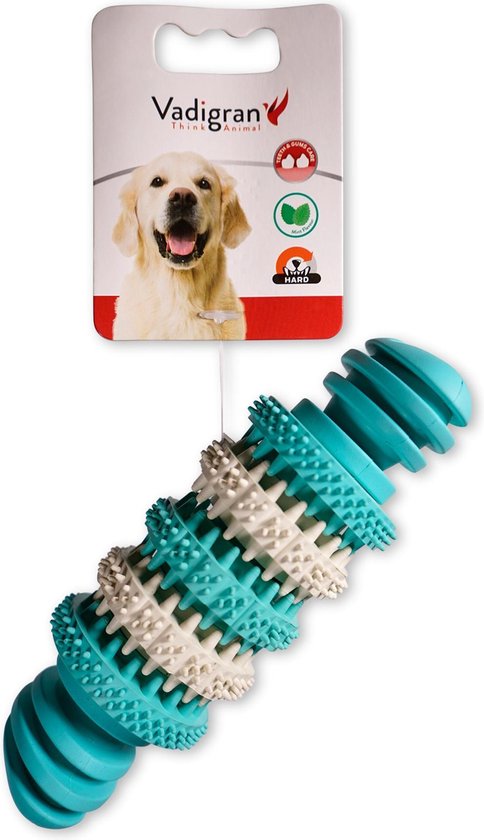 Bestaan vluchtelingen regeren Speelgoed hond rubber dental fun been munt 15cm | bol.com