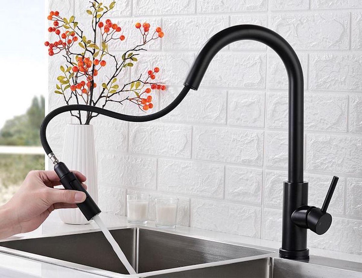 Excellent Wellness M-88117 Keukenkraan - 40 cm Hoog - RVS - Mat Zwart