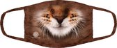 The mountain niet-medisch mondmasker, dierenprint, striped cat face