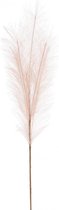 Veren -DECORATIEVE PLUIM-  "DONKER LAVENDEL" -Paars - 80CM