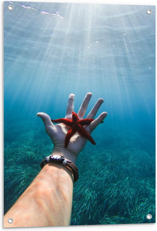 Tuinposter – Rode Zeester op Hand van Persoon in de Zee - 60x90cm Foto op Tuinposter  (wanddecoratie voor buiten en binnen)