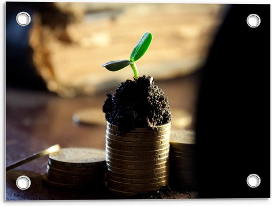 Tuinposter – Muntgeld met een Klein Plantje  - 40x30cm Foto op Tuinposter  (wanddecoratie voor buiten en binnen)