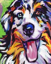 Paint By Numbers - Schilderen op Nummer - Blije Hond - 50x40cm - Volwassenen & Kinderen - Stipco - 150046