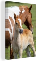 Canvas Schilderij Paarden - Veulen - Gras - 40x60 cm - Wanddecoratie