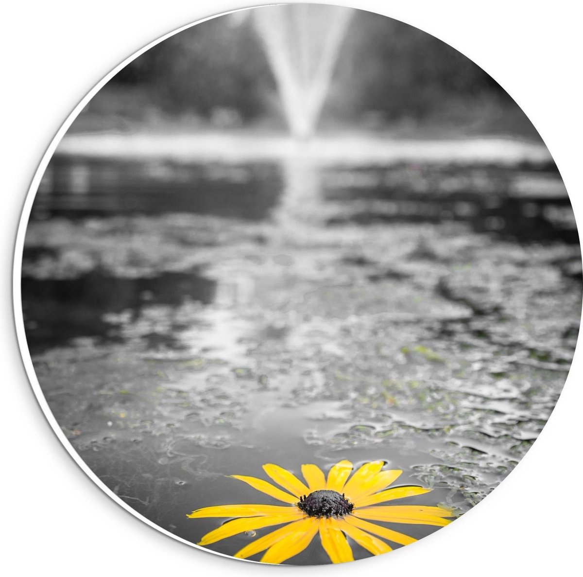 KuijsFotoprint - Schilderij - Gele Bloem In Het Water Bij Fontein - Zwart, Wit En Geel - 2